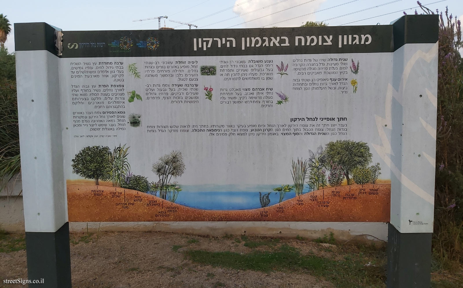 Tel Aviv - Hayarkon Park - Variety of vegetation in the Yarkon Reservoir