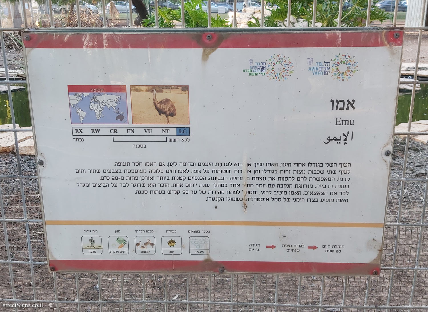 Tel Aviv - Hayarkon Park -  Animal corner - Emu