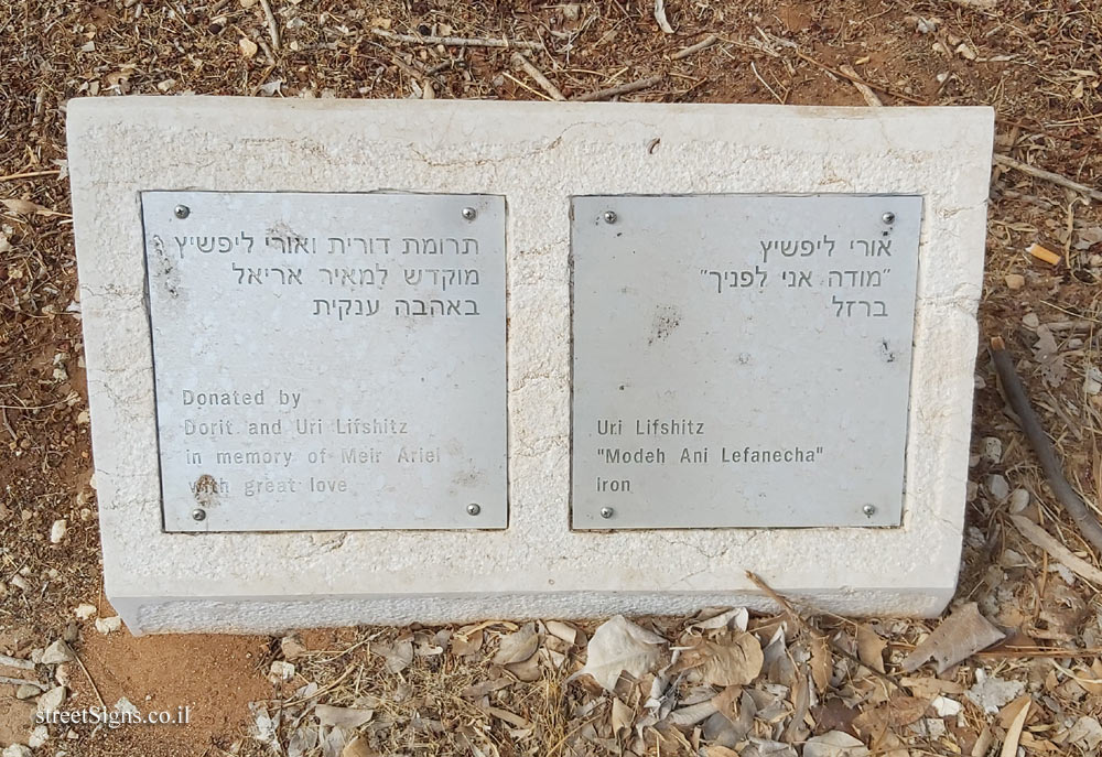 Tel Hashomer Hospital - "Modeh Ani Lefanecha" Uri Lifshitz outdoor sculpture