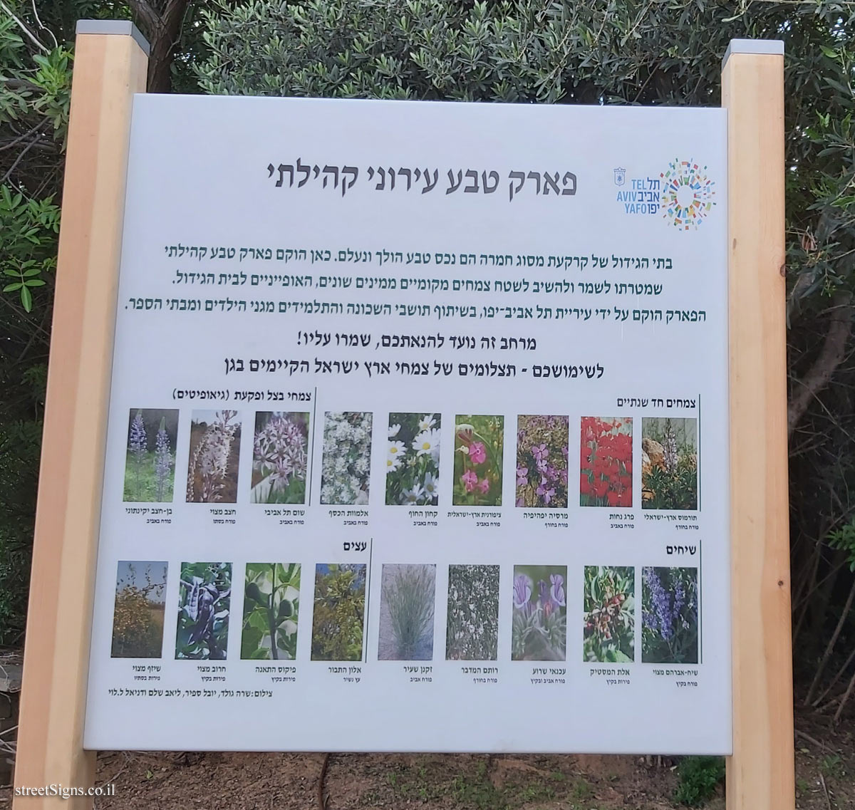 תל אביב - פארק טבע עירוני קהילתי