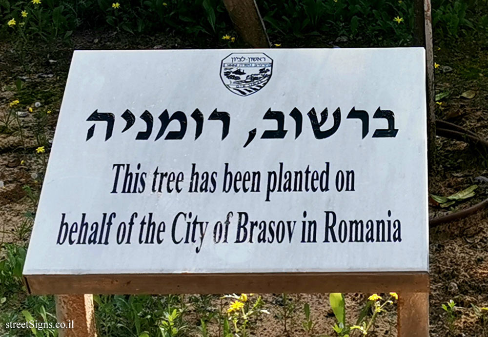 Rishon Lezion - trees planted for Sister cities