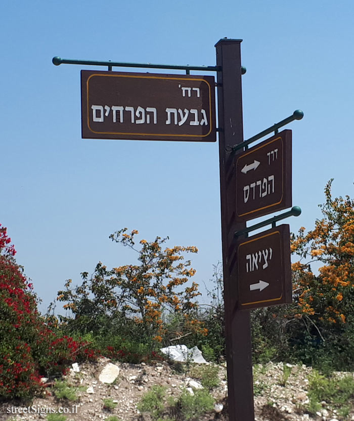 Maor - Givat Haprahim Junction and Derech HaPardes