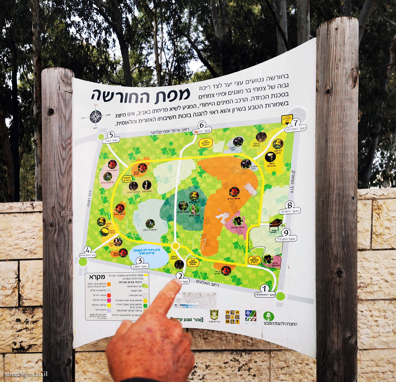 Netanya - Sergeant’s Grove - Map of the grove