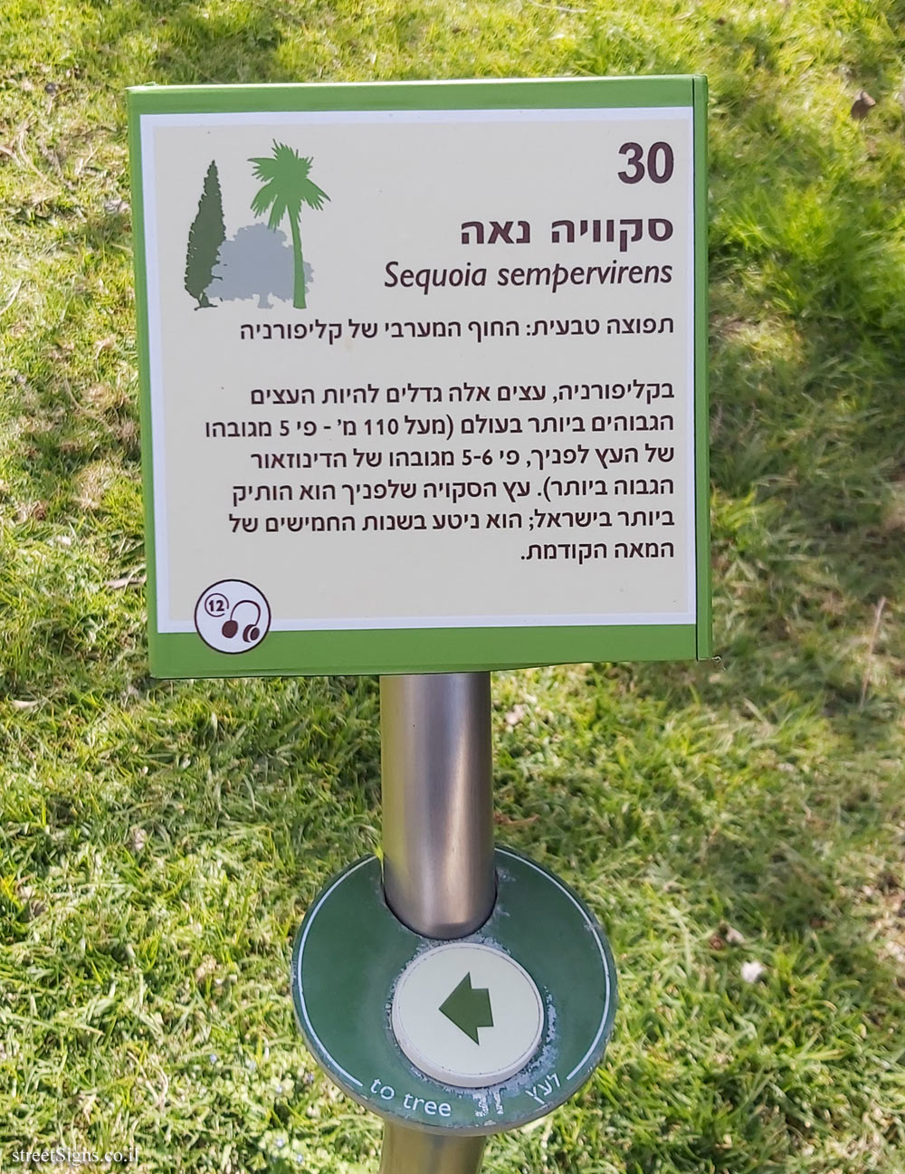 The Hebrew University of Jerusalem - Discovery Tree Walk - Coast Redwood