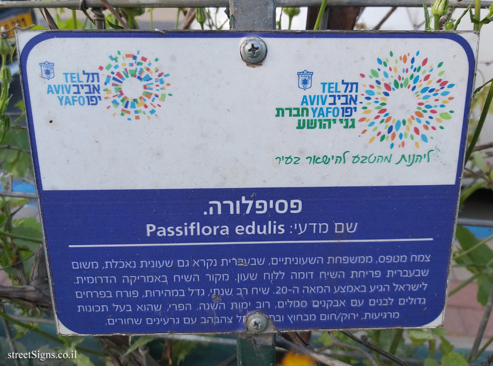 Tel Aviv Orchard - Passion fruit