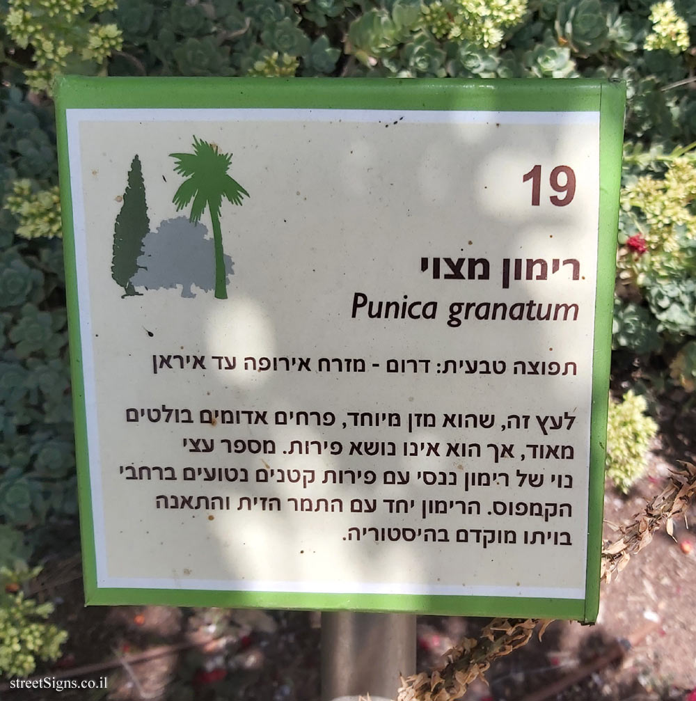 The Hebrew University of Jerusalem - Discovery Tree Walk - Pomegranate