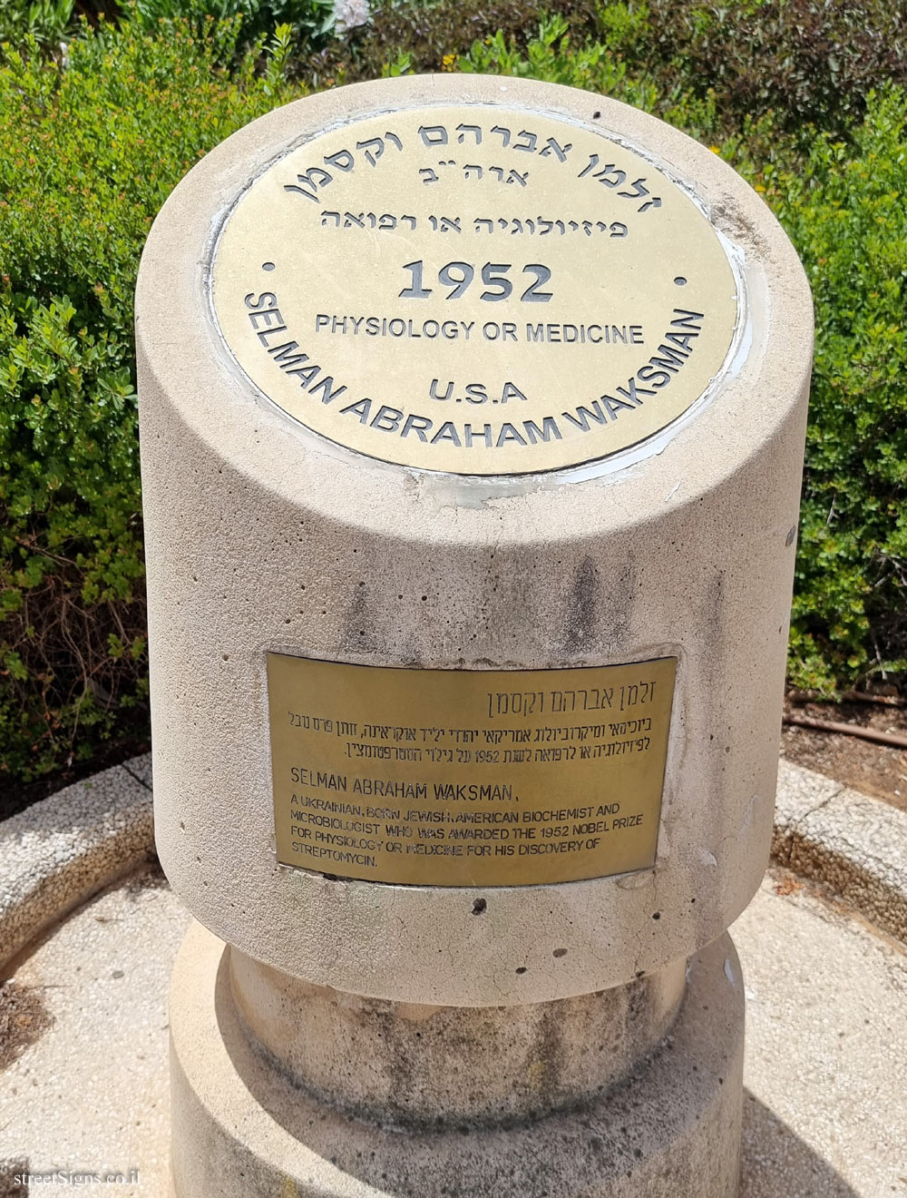 Rishon Lezion - Nobel Laureates Boulevard - Selman Waksman