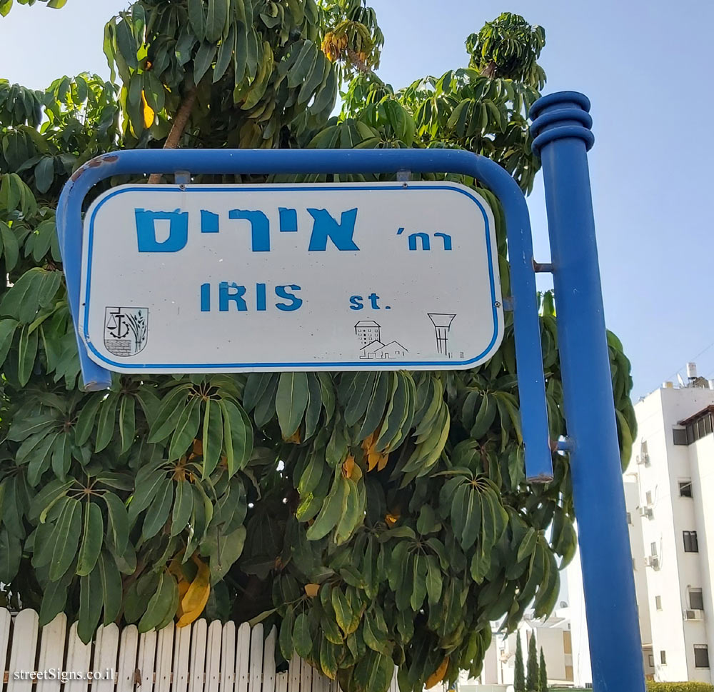 Kiryat Malakhi - Iris Street