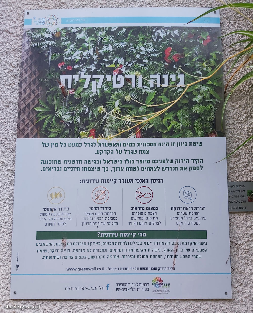 Tel Aviv - A vertical garden