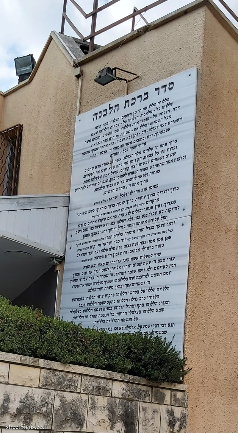 Kfar Saba - Ohev Zion Synagogue - Kiddush levana