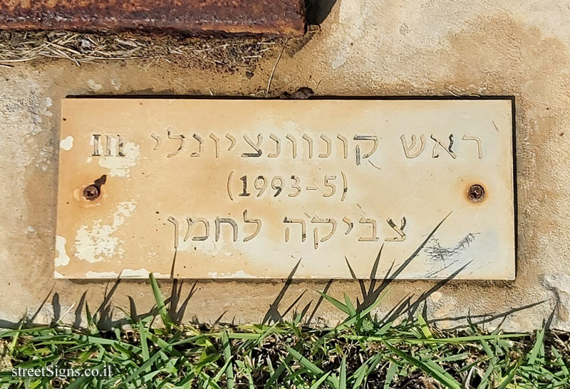 Herzliya - Reichman University - "Conventional Head III" - Outdoor sculpture by Zvi Lachman