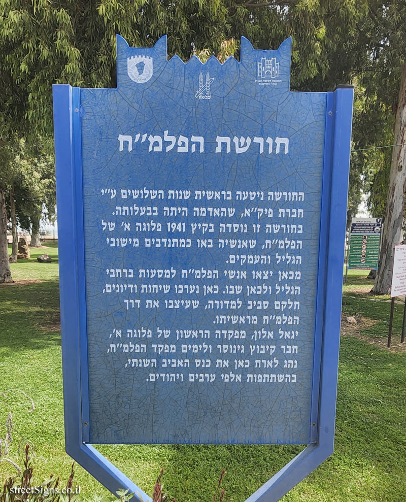 Ginosar - Heritage Sites in Israel - The Palmach grove