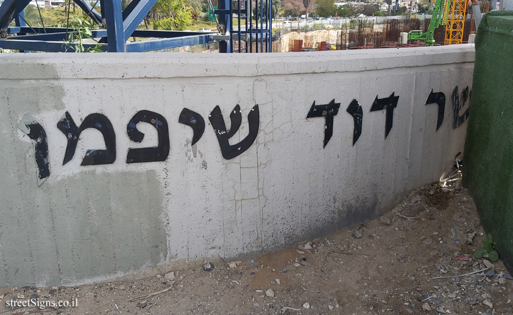 Tel Aviv - David Shiffman Bridge