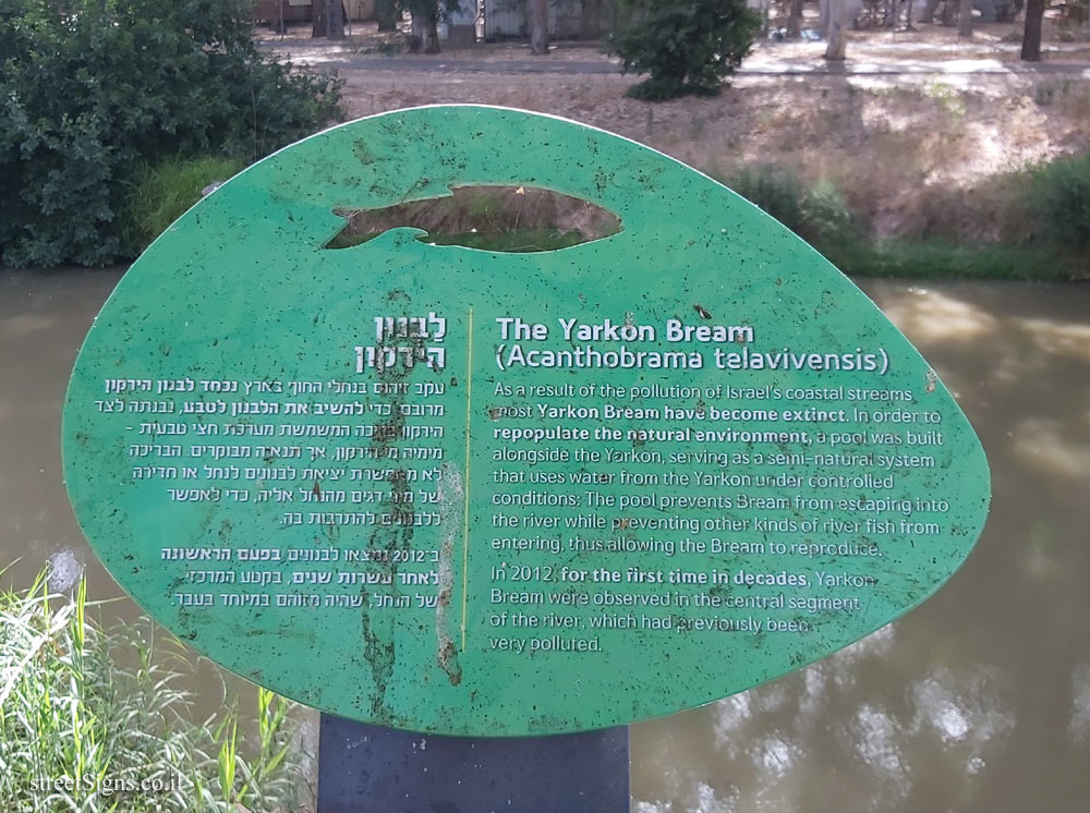 Ramat Gan - Jonathan Trail - The Yarkon Bream