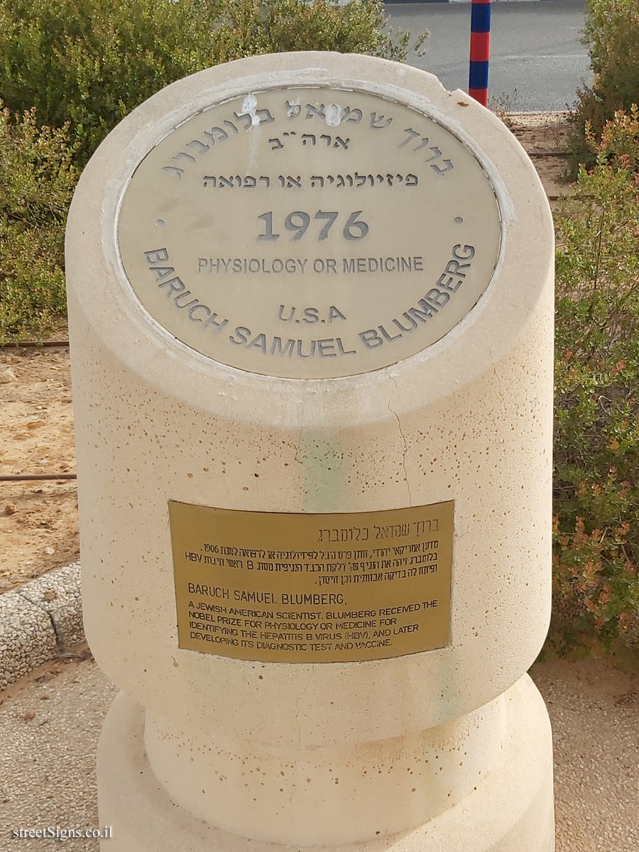 Rishon Lezion - Nobel Laureates Boulevard - Baruch Samuel Blumberg