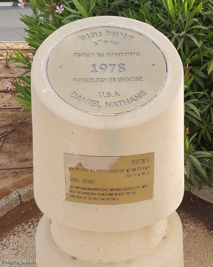 Rishon Lezion - Nobel Laureates Boulevard - Daniel Nathans