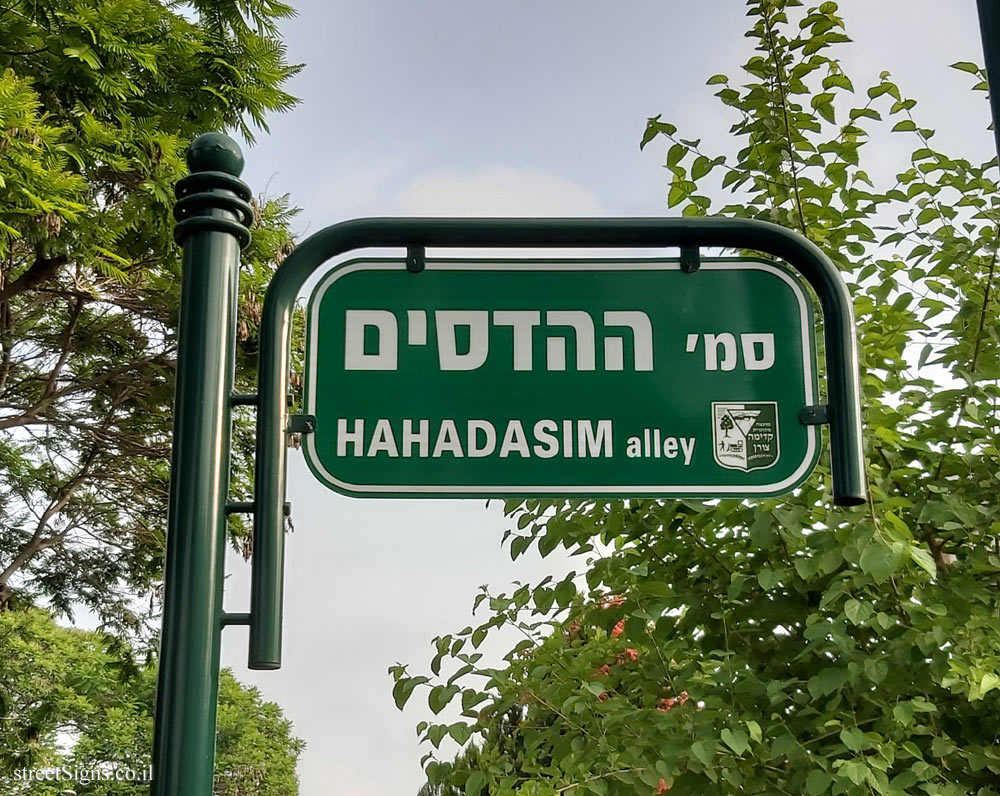 Kadima - HaHadasim Alley