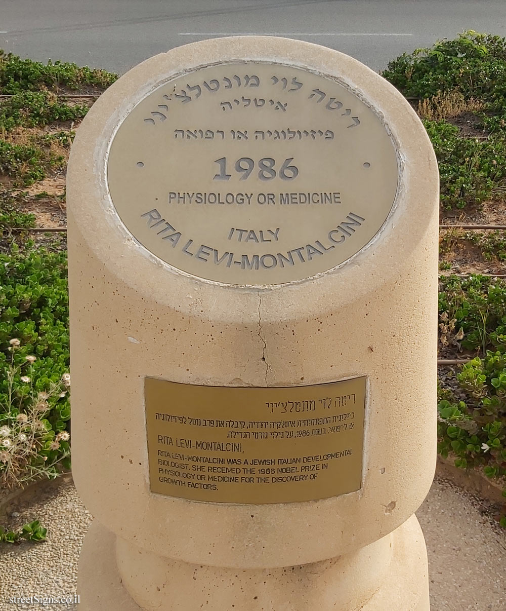 Rishon Lezion - Nobel Laureates Boulevard - Rita Levi-Montalcini