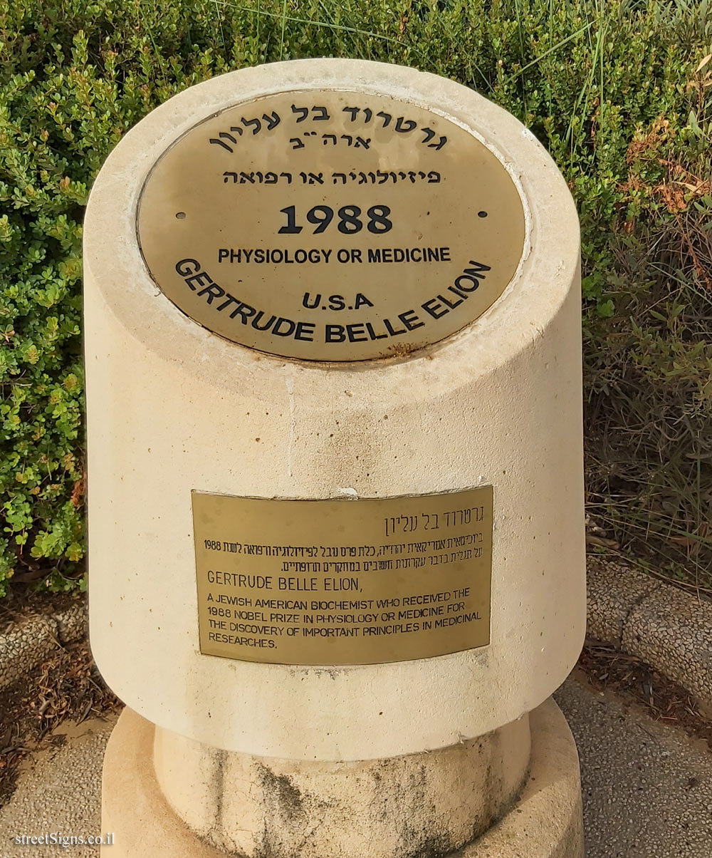 Rishon Lezion - Nobel Laureates Boulevard - Gertrude B. Elion