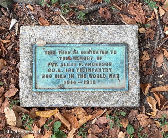 New York - Brooklyn - A tree in memory of Private Anderson