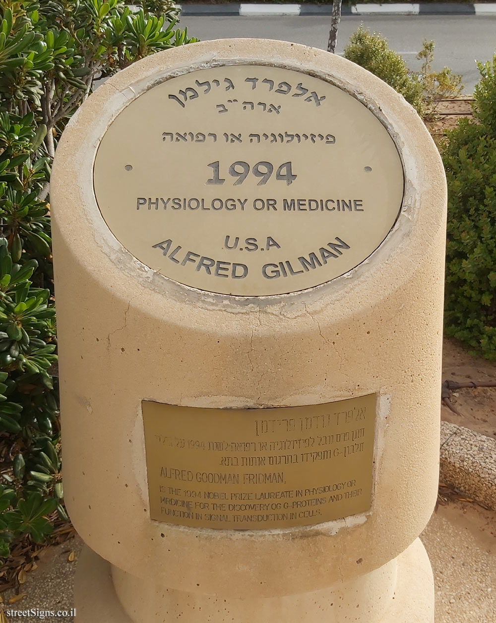 Rishon Lezion - Nobel Laureates Boulevard - Alfred G. Gilman