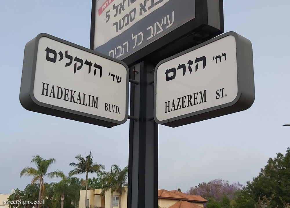 Kadima - the intersection of the Hazerem and Hadekalim streets