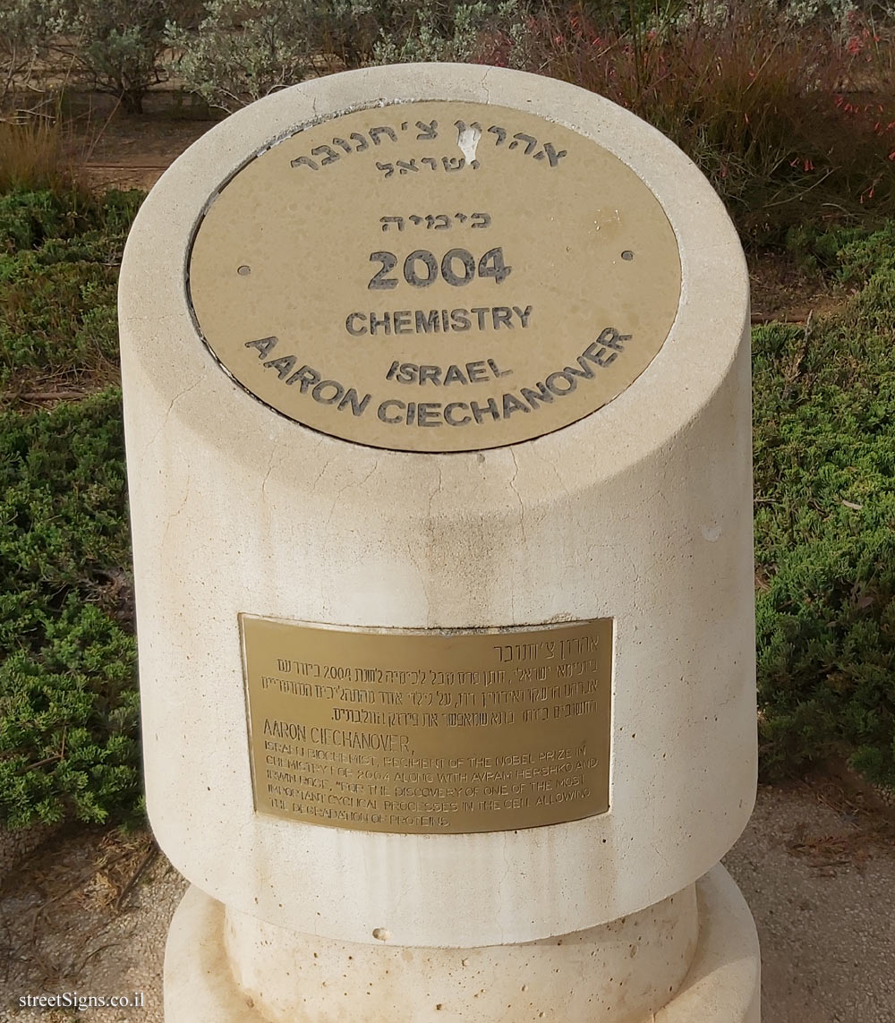 Rishon Lezion - Nobel Laureates Boulevard - Aaron Ciechanover