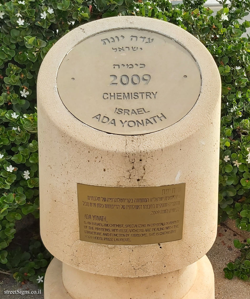 Rishon Lezion - Nobel Laureates Boulevard - Ada Yonath