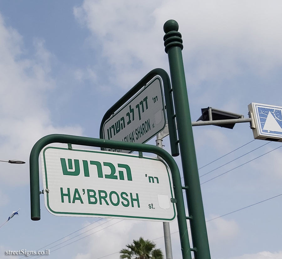 Zoran - the intersection of the HaBrosh and Lev Hasharon streets