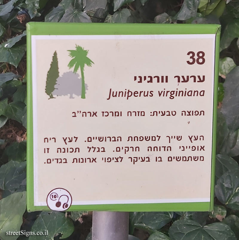 The Hebrew University of Jerusalem - Discovery Tree Walk - Eastern Red Cedar