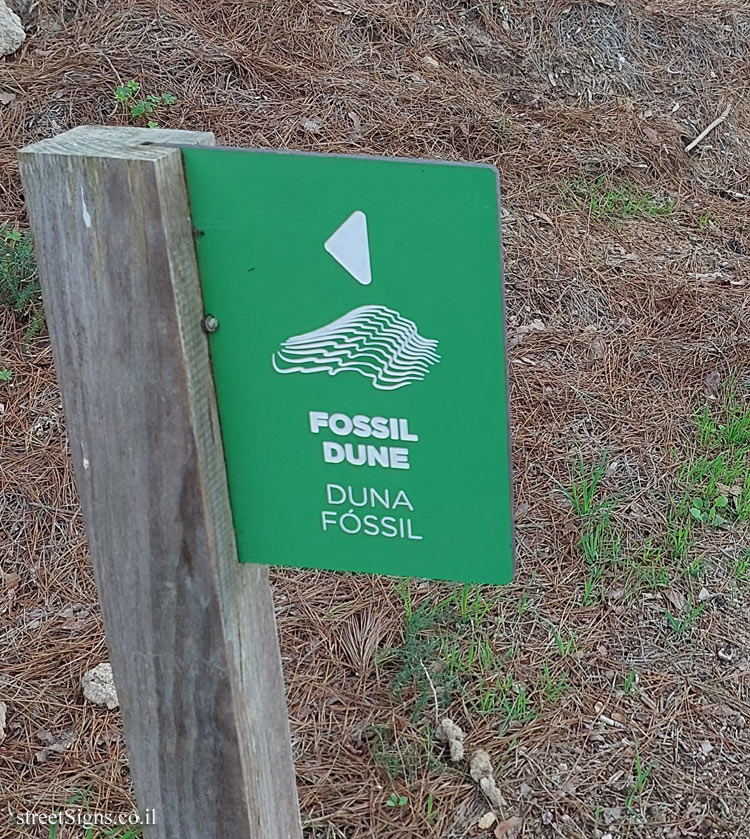 Cascais - Fossil Dune