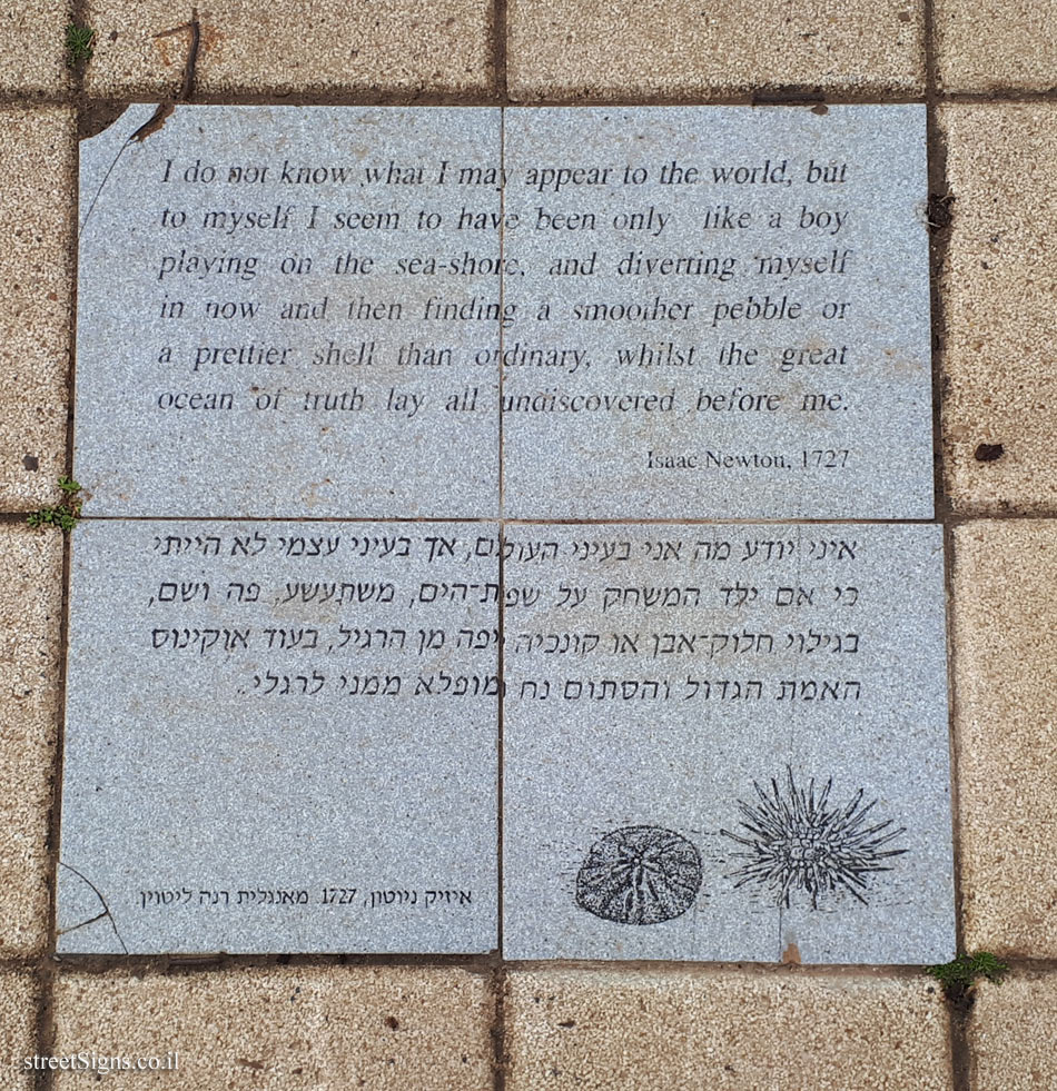 Tel Aviv University - Entin Square tiles - A shell vs  the great ocean of truth (Newton)