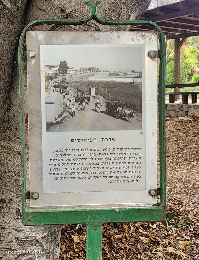 Givat Brenner - Ficus Avenue