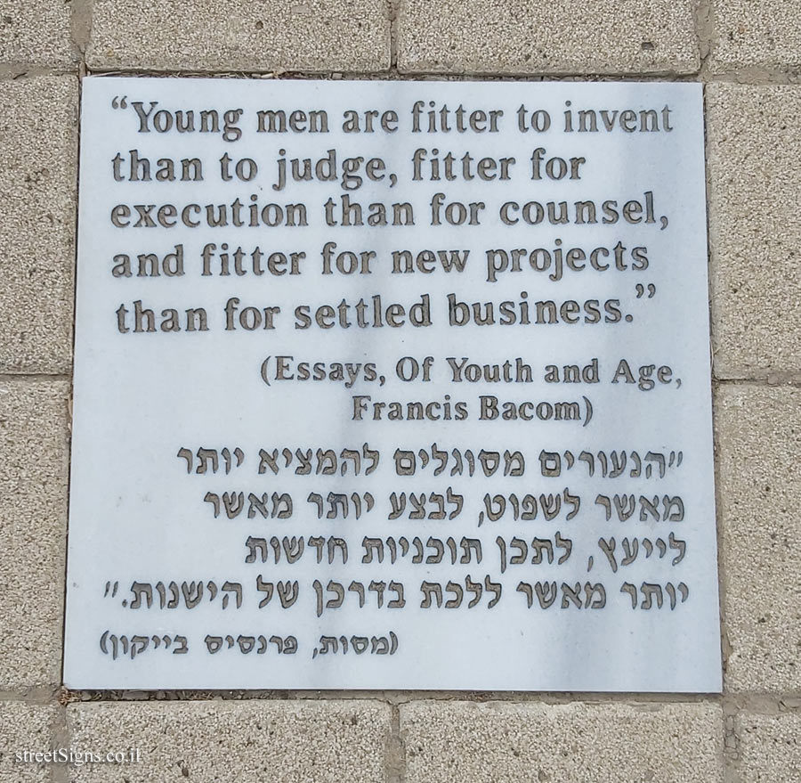Tel Aviv University - Entin Square tiles - About Youth (Bacon)