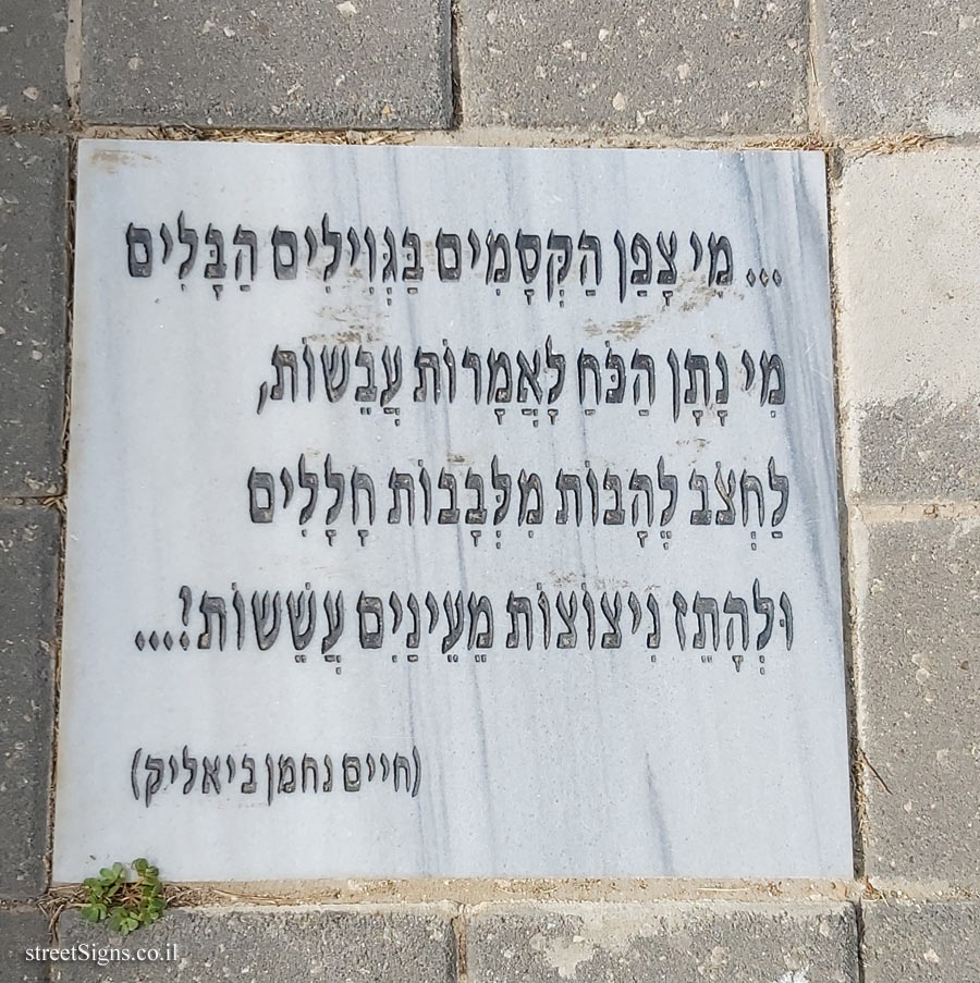 Tel Aviv University - Entin Square tiles - The Matmid (Bialik)