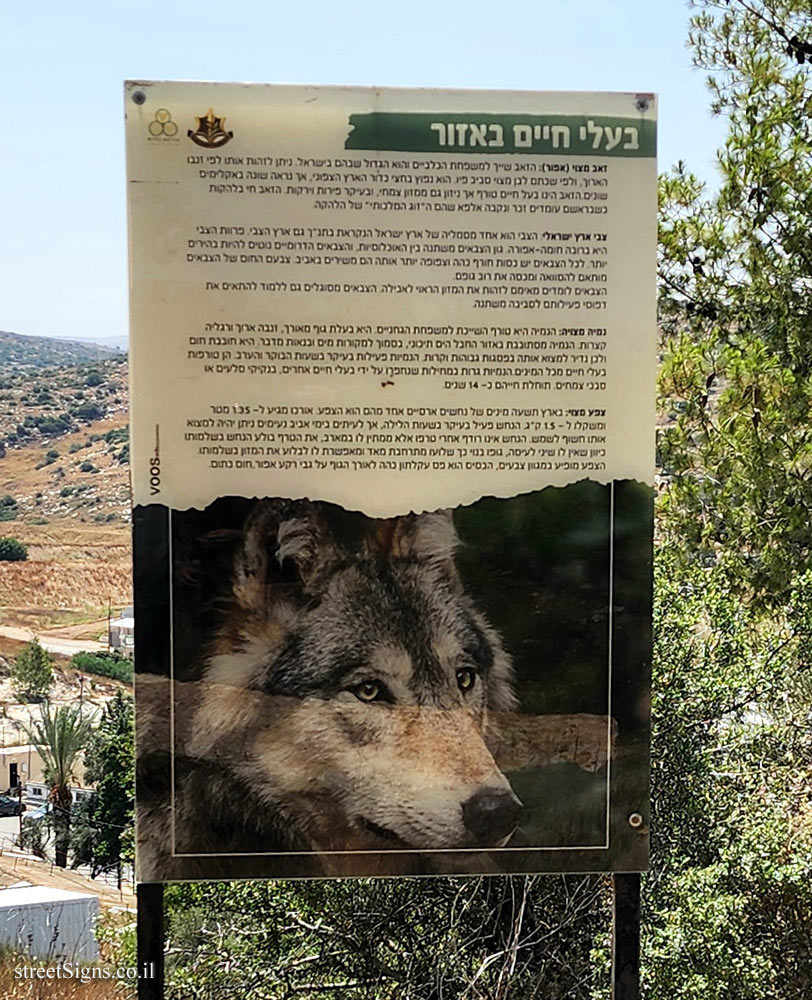 Lachish Training Base - Animals in the area