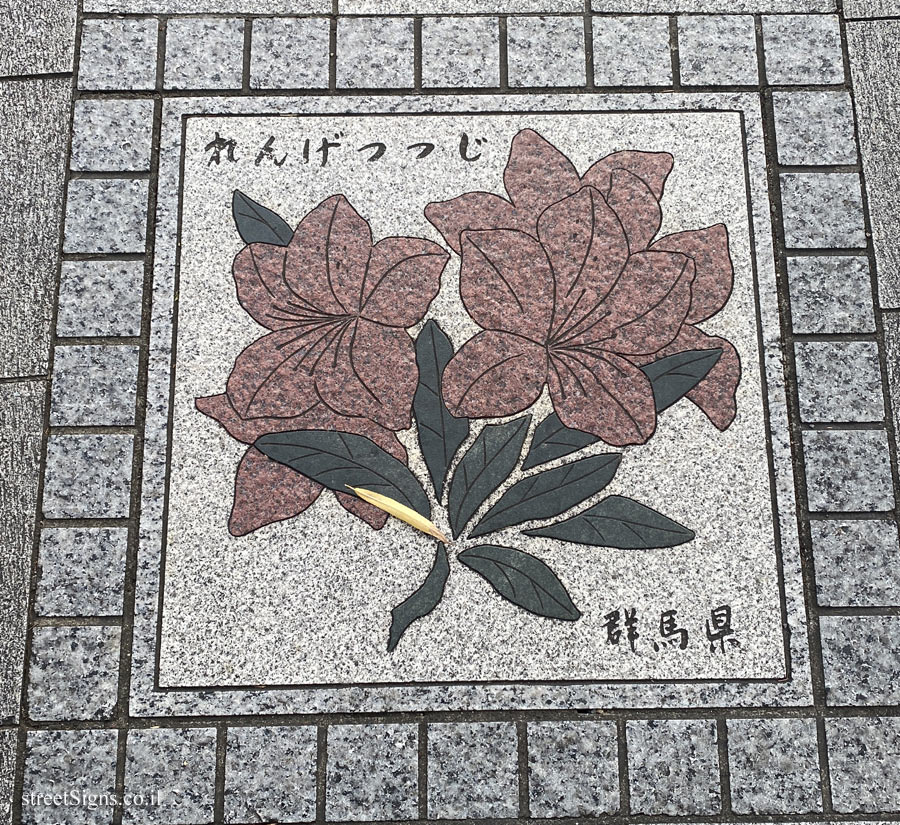 Tokyo - Prefecture Flower Route of Japan - Gunma