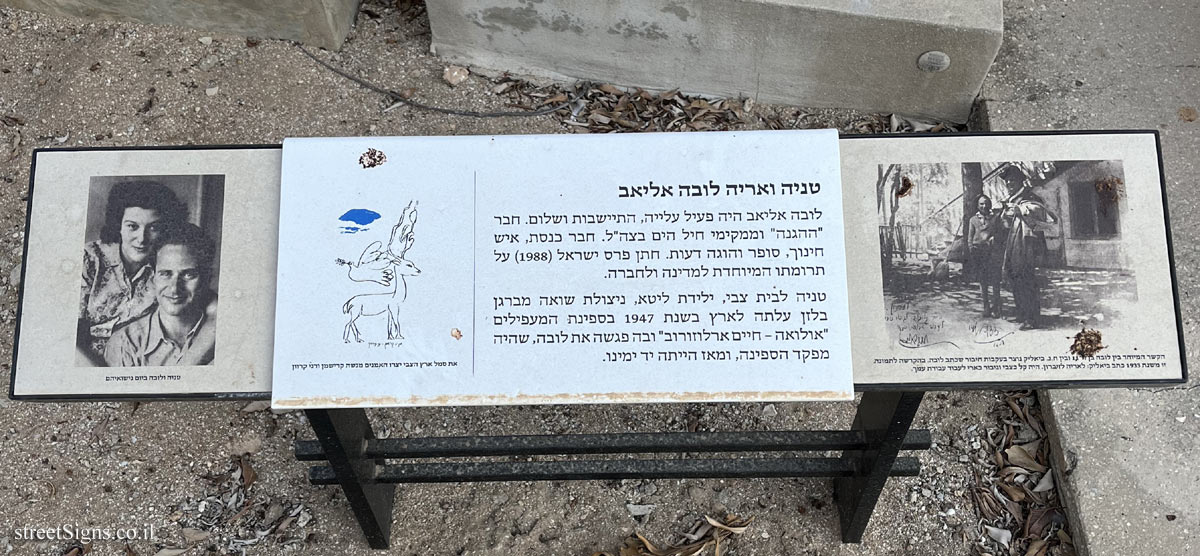 Tel Aviv - Trumpeldor Cemetery - The grave of Lova Eliav and Tania Eliav