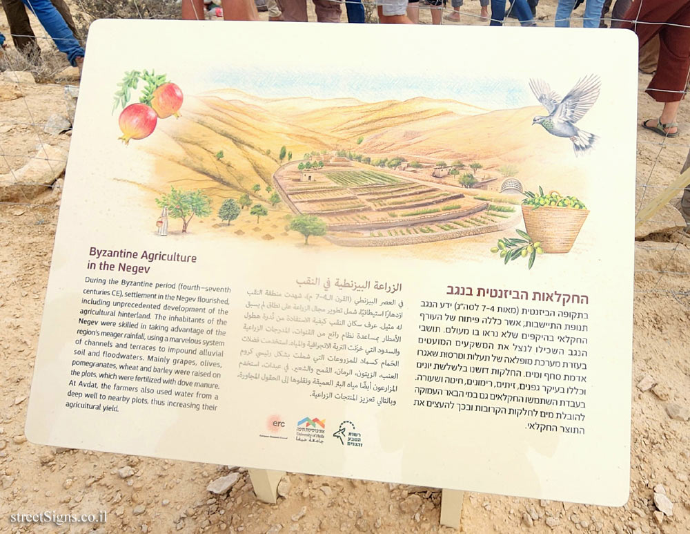Avdat - Byzantine Agriculture in the Negev