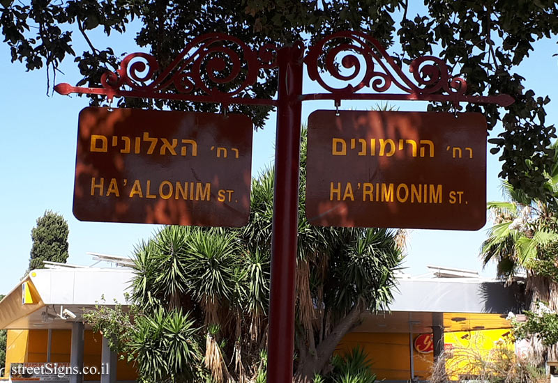 Kiryat Tivon - Alonim Street and the HaRimonim Junction 