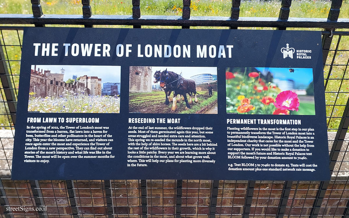 London - The Tower of London Moat