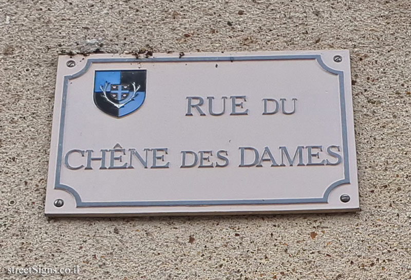 Cheverny - Chêne des Dames Street