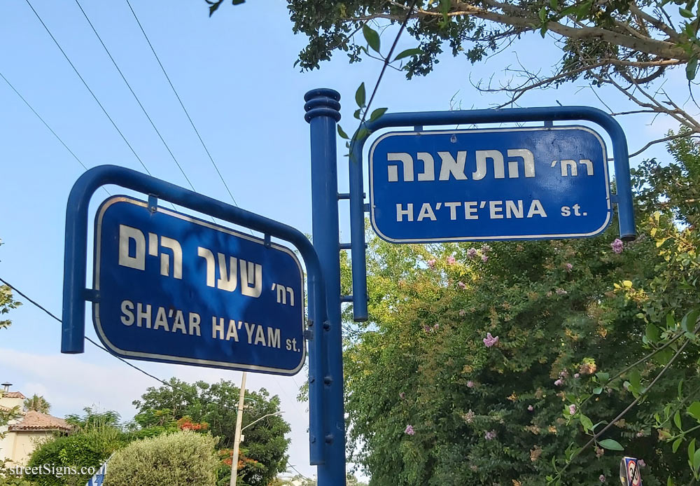Herzliya - Junction of the Ha’Te’ena  and the Sha’ar Ha’Yam streets