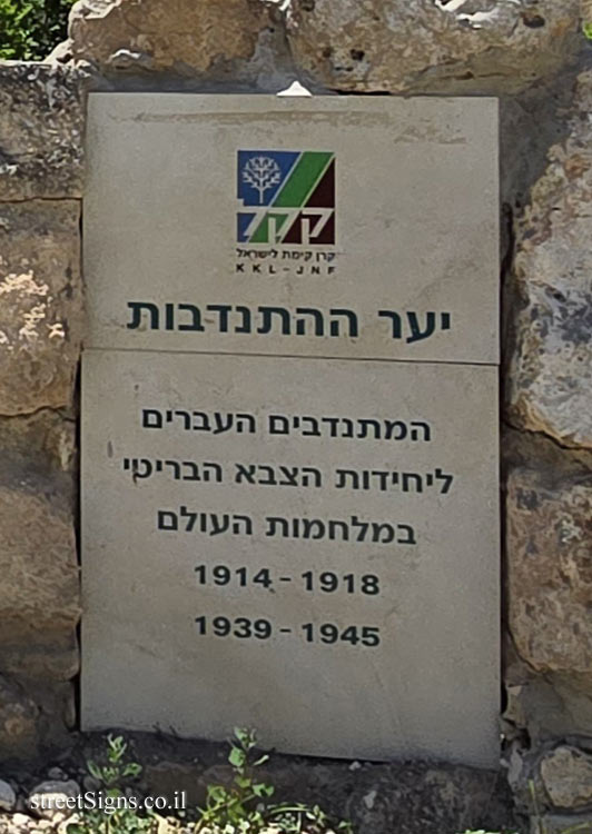 Mishmar Ayalon - Volunteer Forest