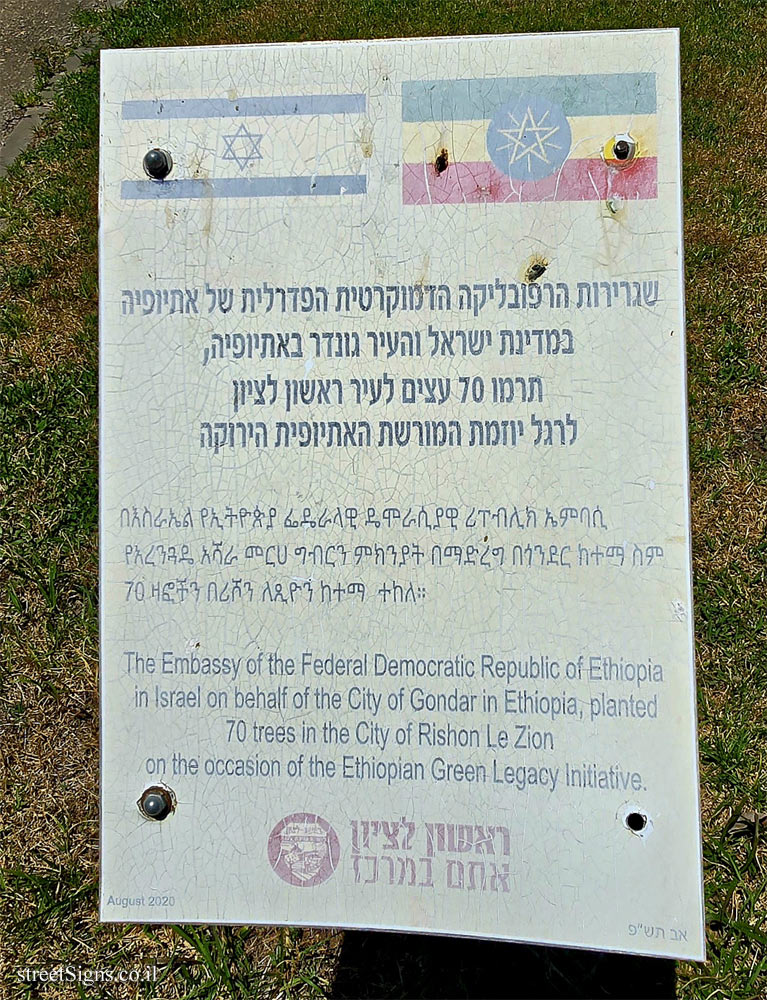 Rishon Lezion - Sister Cities Park - Ethiopian Green Heritage Initiative