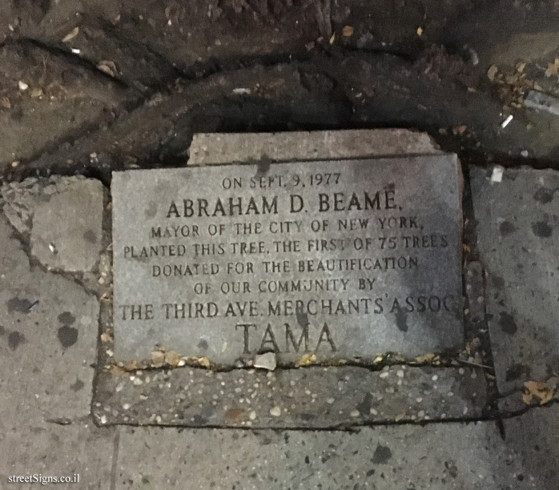 New York - Manhattan - A sign commemorating tree planting by the New York mayor