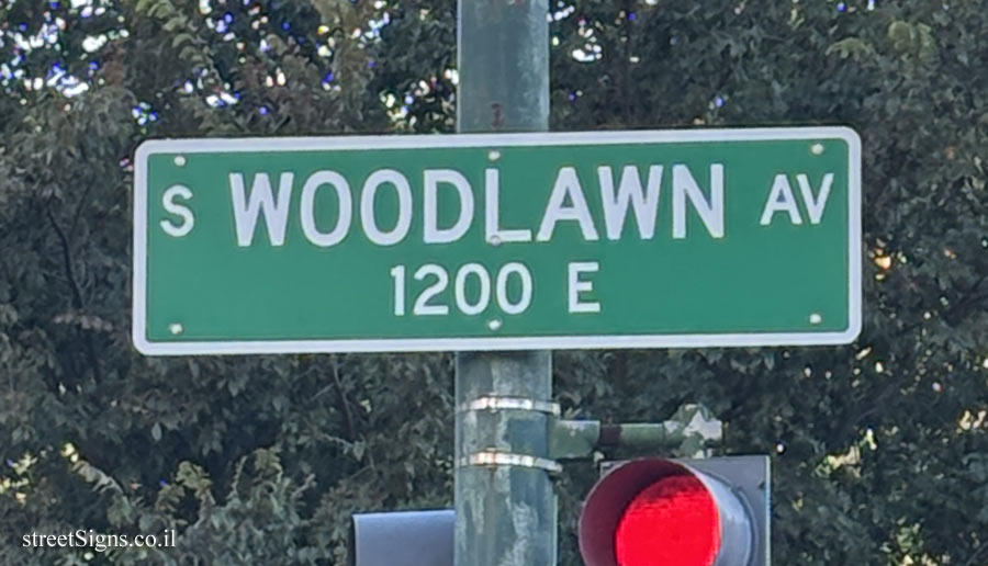 Chicago - S Woodlawn Avenue