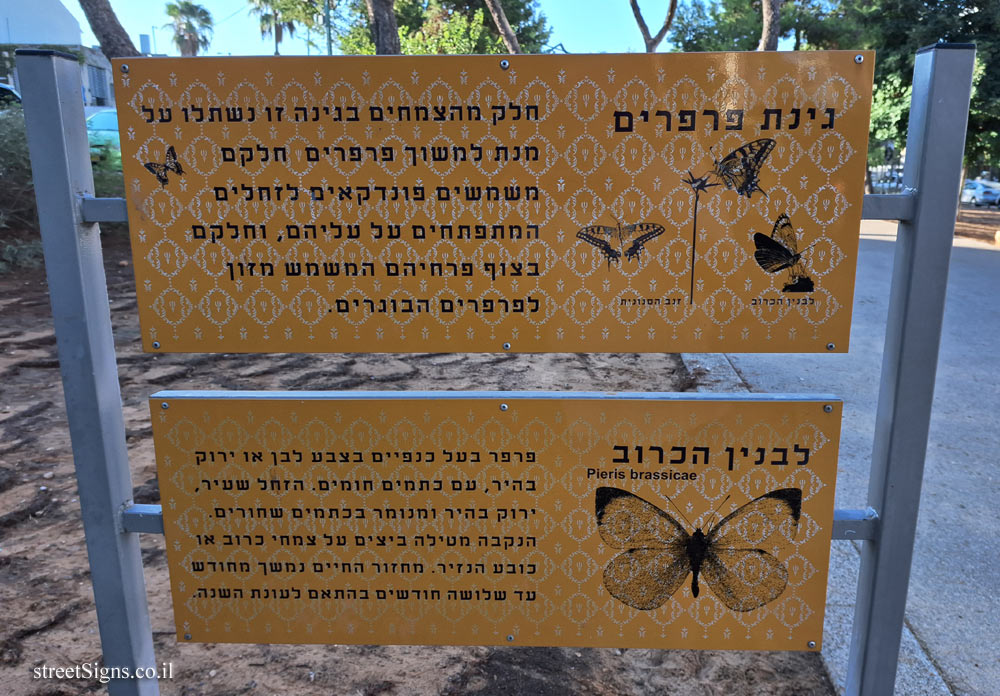 Tel Aviv - Haskalah Boulevard Garden - Butterfly Garden and cabbage white