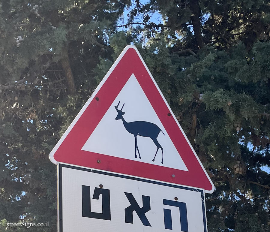 Beit Oren - Warning about animals crossing the road