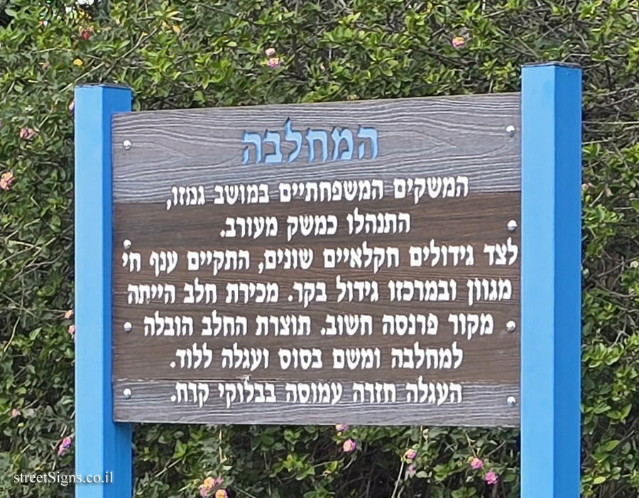 גמזו - המחלבה